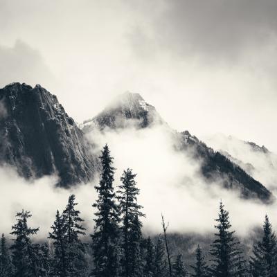 00038 Misty Mountain