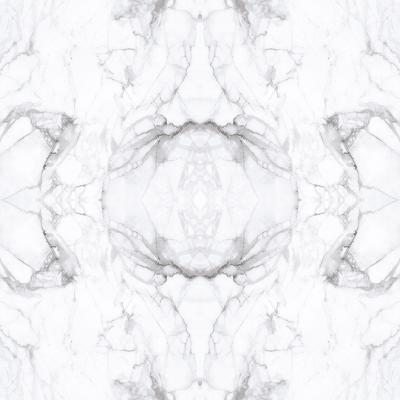 E017061 00 Mirrored Marble