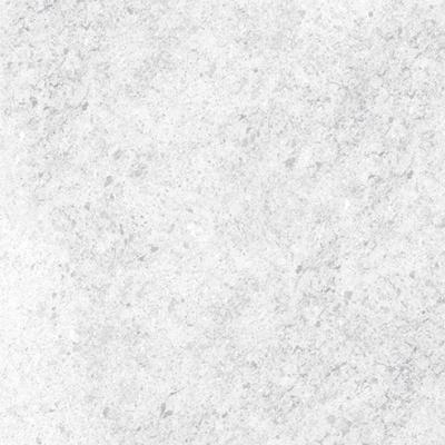E021014 01 Labrador White