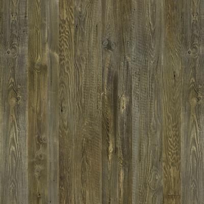 E013045 00 Tobacco Pine