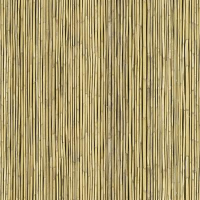 E013025 00 Reed