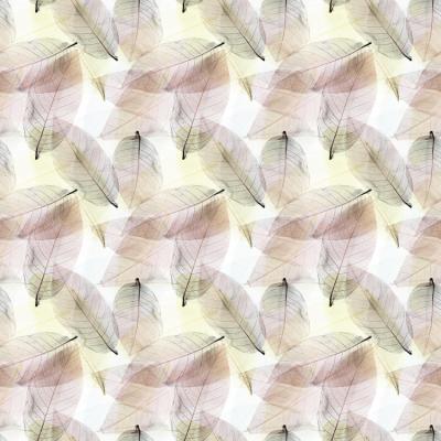 E015054 00 Feuille