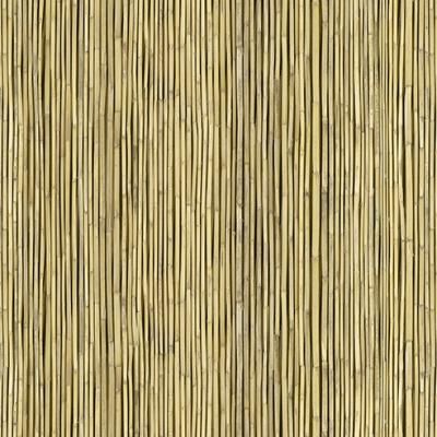 E013025 00 Reed