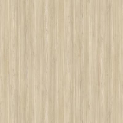 E021085 00 Feldblume natur