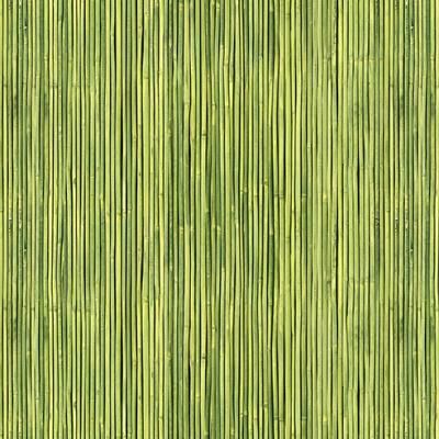 E013024 00 Indian Bamboo