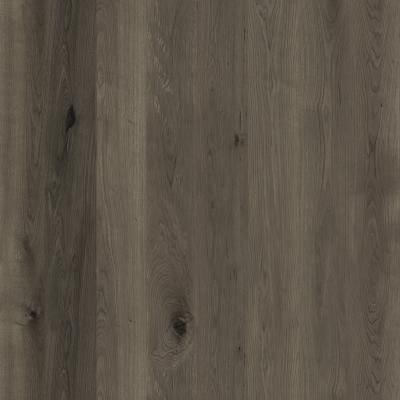 E024011-02 B Eiche Bologna Marone