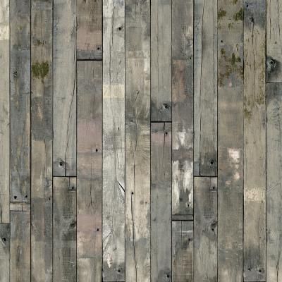 E015106 00 Alte Eiche Mit Moos