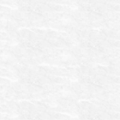 E020007 00 Natural Marble White