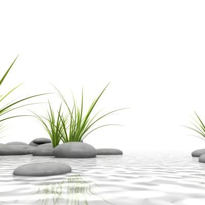 00052 Zen Steine Gras