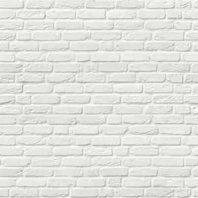 E014221 00 Backstein Gekalkt