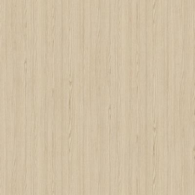 E019033 00 Esche Armilla