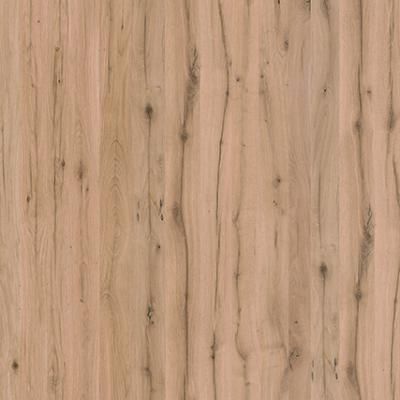 E015117 00 Spessart Eiche