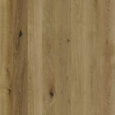 E024011-00 B Eiche Bologna