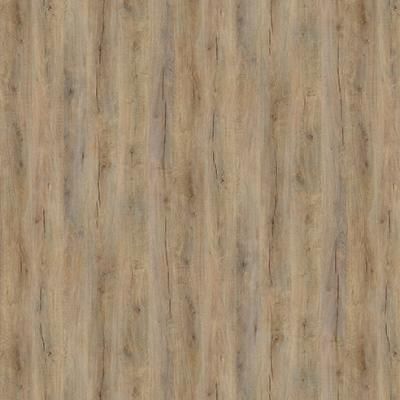 E022088 00 Sulzbach Eiche hell