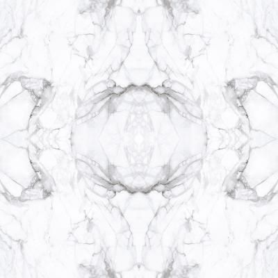 E017061 00 Mirrored Marble
